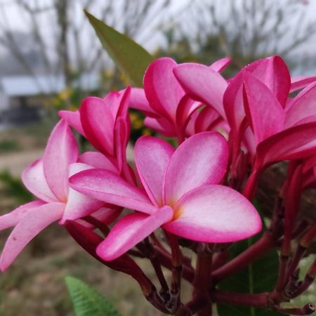 Nakakiri Resort & Spa Hin Dat Luaran gambar