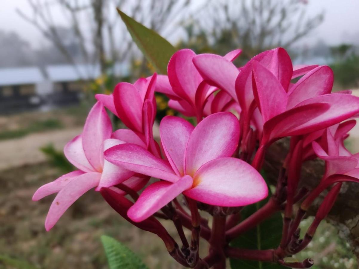 Nakakiri Resort & Spa Hin Dat Luaran gambar